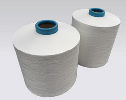 Fio 100% do poliéster DTY 250D/96F RW FD SIM